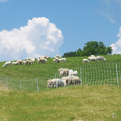 Premier 1 ElectroNet® Electric Fence for Sheep & Goats – 35"H x 164'L