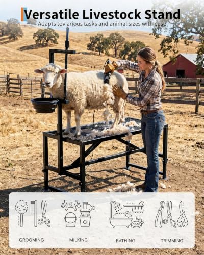 Heavy Duty 400LBS Goat Stand with Feed Bin, 35 Inch Goat Milking Stand Adjustable Headpiece & Legs, Livestock Table for Grooming, Shearing, Physical Examination, Black | Adjustable 35-Inch Platform, Headpiece & Legs, Stanchion for Grooming, Shearing, and