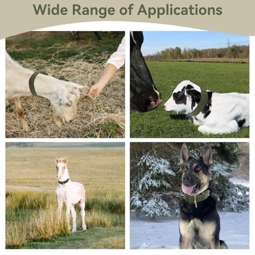 Sheep Collar, Non-Slip Nylon Adjustable Goat Collar Livestock Neck Strap for Farm Ranch Calf Goat Cow Horse Sheep Small Animal Accessories, Total Length 30in (L) - size: L