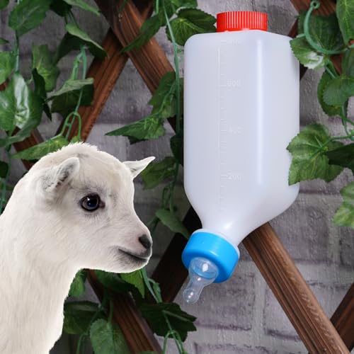 800ml Lamb Feeding Bottles for Goat