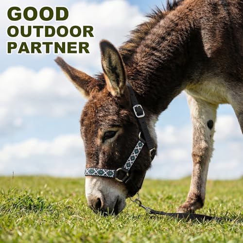 1 Set Mini Donkey Halter with Lead Rope Adjust, Black - color: Black