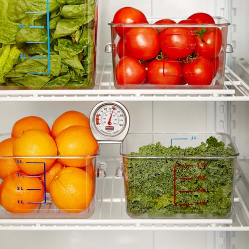 Rubbermaid Commercial Products Thermometer, Classic Large Mechanical Dial, Chrome, Extreme Temperature Range for Use in Refrigerator/Freezer/Cooler/Fridge - style: Refrigerator Thermometer