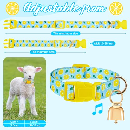 Talltalk Goat Collars with Bells Grazing Copper Bell and Adjustable Nylon Collar Set Loud Bronze Bell for Farm Pet Sheep Cow Sheep Dog Accessories Goat Gift(Lemon,Blue) - color: Blue, style: Lemon