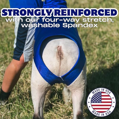 Show Pro Blue Spandex Lamb Tube for Show Sheep & Lamb - Show Livestock Supplies: Sheep Covers & Blankets - size: Medium