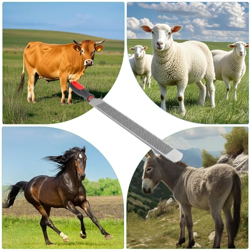 13 Inches Hoof Rasp,Farrier Rasp,Farrier Tools,Professional Carbon Steel Farrier File Tool with Rubber Handle,Heavy Duty Trimming Tool for Horses,Cattle,Goats,and Donkeys