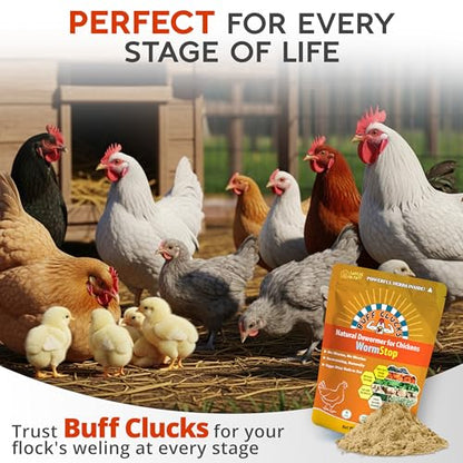 Buff Clucks WormStop Natural Chicken Dewormer Powder – All-Natural Herbal Blend for Daily Wellness - Chicken Wormer is Safe for Eggs & All Ages - Garlic, Pumpkin Seed, Wormwood - USA (8 oz)