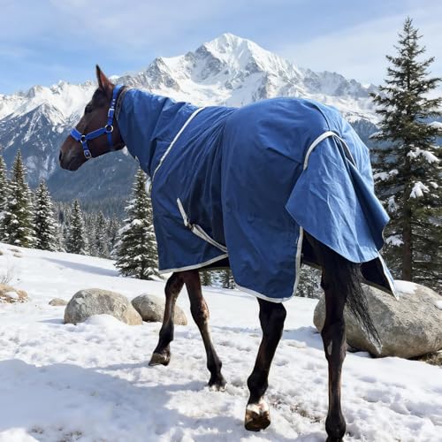 Winter 1200D Premium Turnout Horse Blanket,Medium Weight Waterproof Blanket (Back Length 78 inches (145cm) with Cover) - size: Back Length 78 inches ( 145cm ) with cover