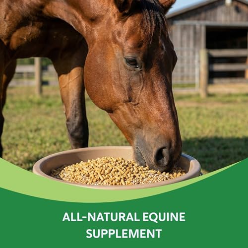 HEIRO Healthy Equine Insulin Rescue Nutritional Supplement for Horses, Natural Herbal Blend with Magnesium & Vitamin E, Supports Normal Metabolic Function & Hoof Comfort, 30 Servings, 30-Day Supply - size: 30 Servings