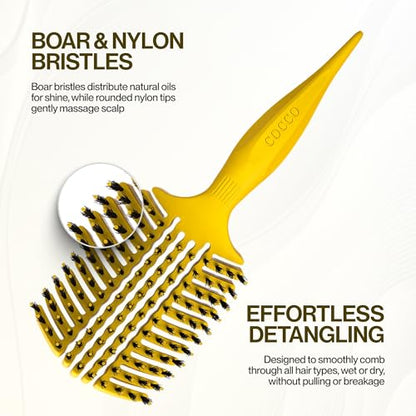 COCCO Aura Vent Boar Brush, Dual-Curved Design for Faster Drying - color: Yellow