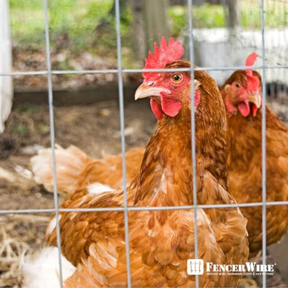 Fencer Wire Welded Wire Fence 12.5 Gauge, Galvanized Welded Fence Wire Roll, Mesh Size 2-Inch x 4-Inch, Hog Wire Fencing Cage, Multiple Use for Home Improvement & Animals Enclosure (2ft. x 50ft.) - style: 2 ft. x 50 ft.