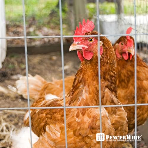 Fencer Wire Welded Wire Fence 12.5 Gauge, Galvanized Welded Fence Wire Roll, Mesh Size 2-Inch x 4-Inch, Hog Wire Fencing Cage, Multiple Use for Home Improvement & Animals Enclosure (6ft. x 50ft.) - style: 6 ft. x 50 ft.