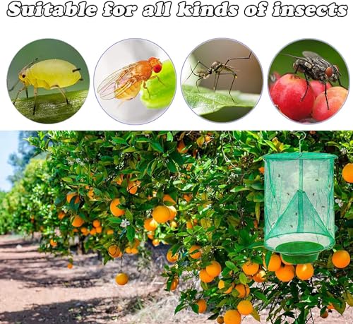 8 Pack Ranch Fly Trap, 2026 New Hanging Fly Catcher, The Most Effective Trap Ever Made with Pots, Cage Catcher for Indoor and Outdoor, Family Farms, Park, Restaurants