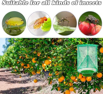 8 Pack Ranch Fly Trap, 2026 New Hanging Fly Catcher, The Most Effective Trap Ever Made with Pots, Cage Catcher for Indoor and Outdoor, Family Farms, Park, Restaurants