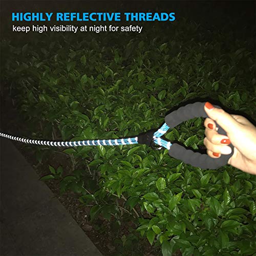 Ladoogo Reflective Dog Collar Padded with Soft Neoprene Breathable Adjustable Nylon Dog Collars for Small Medium Large Dogs (X-Small (Pack of 1), Turquoise Collar+Leash) - color: Turquoise, size: X-Small