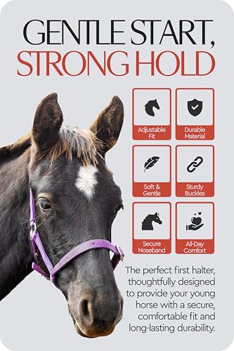 HORZE Adjustable Mini Horse Halter, Nylon Design for Foals, Colts, Fillies - color: Purple