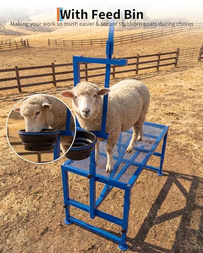 Garvee 35in Goat Milking Stand with Feeder 400LBS Livestock Table - color: Blue 35inch