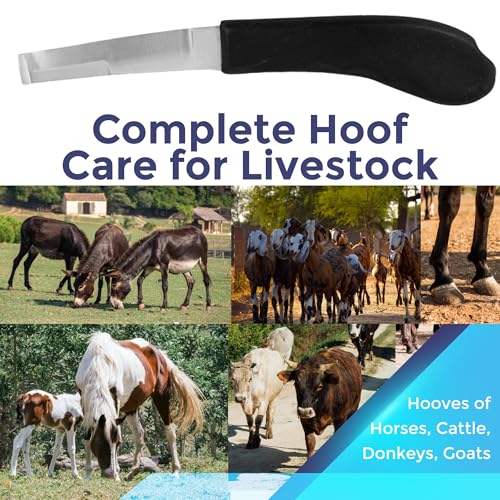 Regular Hoof Knife for Horses – Farrier Tool with Plastic Grip – Hoof Trimming Knife for Equine Care & Veterinary Use (Left Hand) - style: Wide Blade - RH