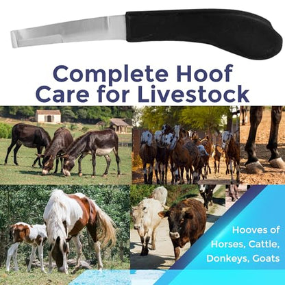 Regular Hoof Knife for Horses – Farrier Tool with Plastic Grip – Hoof Trimming Knife for Equine Care & Veterinary Use (Left Hand) - style: Wide Blade - RH