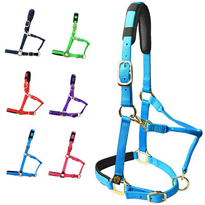 T TEKE Adjustable Horse Halters by Heavy Duty Soft Nylon, Padded with Anti-rubbing Waffle Neoprene on Both Crown & Nose - color: Blue, size: XS Pony