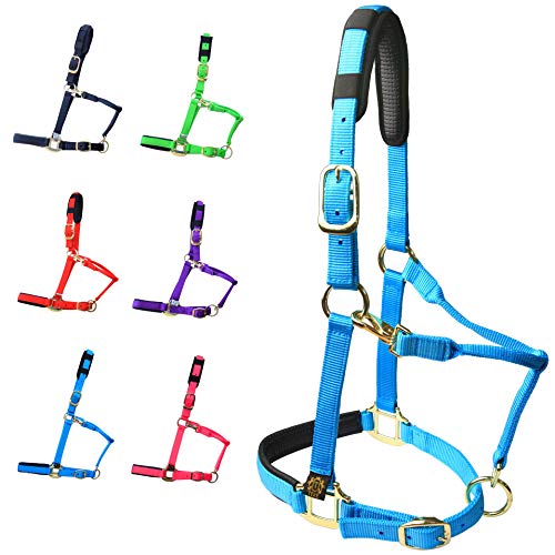 T TEKE Adjustable Horse Halters by Heavy Duty Soft Nylon, Padded with Anti-rubbing Waffle Neoprene on Both Crown & Nose - color: Blue, size: XS Pony