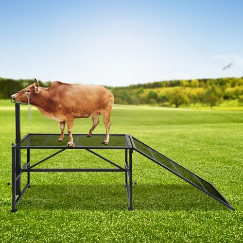 Sheep Trimming Stand with Ramp - Adjustable Goat Milking Stand for Hoof Trimming, Shearing & Health Check - Heavy Duty 500lbs Capacity, Anti-Slip Grid, Easy to Clean (Black)
