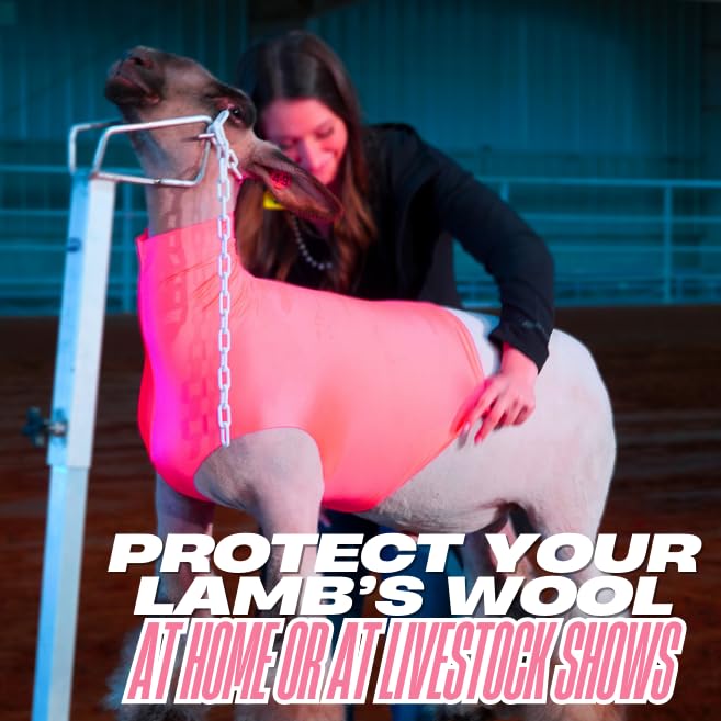 Show Pro Pink Spandex Lamb Tube for Show Sheep & Lamb - Show Livestock Supplies: Sheep Covers & Blankets (Medium) (Pack of 2) - size: Medium (Pack of 2)