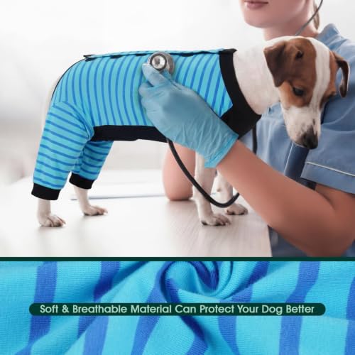 Kuoser Dog Recovery Suit with Anti Licking Rear Leg Sleeve, Blue M - color: Blue Strips, size: Medium (Back Length: 34cm / 13.38")