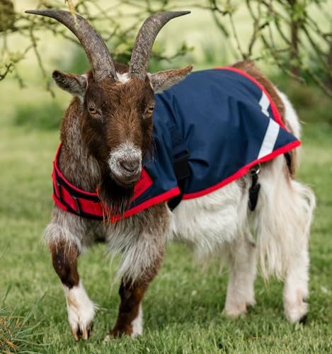 Horseware® Goat Coat 0g - Navy/Red, S - size: S