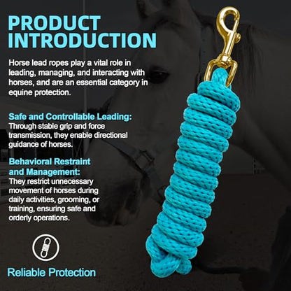 5/8" x 8' Nylon Horse Lead Rope with Cast Iron Hardware(Lake Blue) - color: Lake Blue