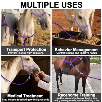 5/8" x 8' Nylon Horse Lead Rope with Cast Iron Hardware(Purple) - color: Purple