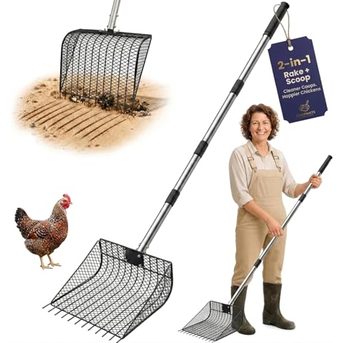 12 inch Large Chicken Poop Scooper Rake with Sifting Litter Shovel, Stainless Steel Handle (25 to 66"), Heavy-Duty Poultry Litter Scoop for Chicken Coop for Sand & Farm Pet Waste Cleaning