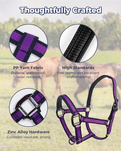 Hilltown Adjustable Horse Halter - color: PURPLE, size: X-Full
