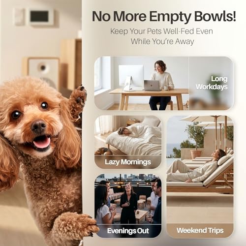 Flexzion Gravity Pet Water Dispenser Drinking Station for Dogs Cats (3 Gallon) Automatic Replenish Waterer for Small Large Breed Dog Cat,Feeding Watering Fountain Supplies Bottle Dish Bowl - size: 3 Gallon