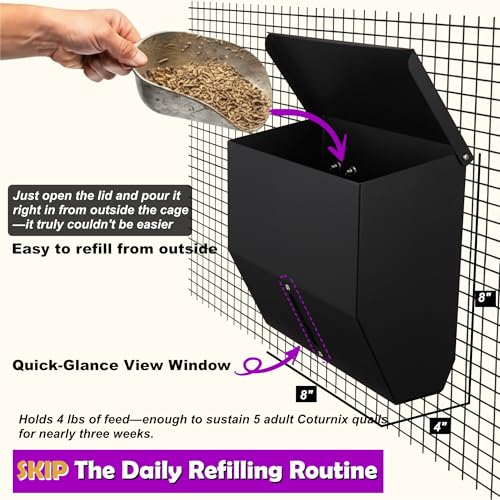 CluckRoots No Waste Quail Feeder, 3 x 1.5'' Ports for Adult Coturnix Quail - size: 8 Inch