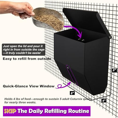 CluckRoots No Waste Quail Feeder, 3 x 1.5'' Ports for Adult Coturnix Quail - size: 8 Inch