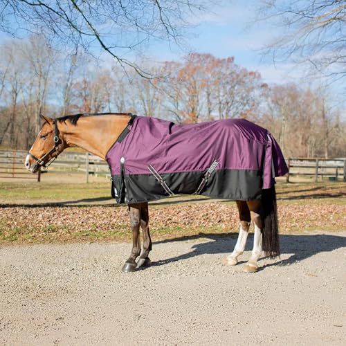 Equinavia Thunder 360 Detachable Neck Light Weight Turnout Blanket 100g - Plum Wine - 75 in - color: Plum Wine, size: 75 in