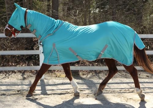 Combo Neck Fly Sheet with Leg Straps and Color Matched Mask - color: Teal - Grey, size: 78