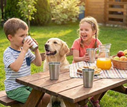 CHILLOUT LIFE Stainless Steel Cups for Kids and Adult 12 oz – Metal Kids Cups stackable for Home & Outdoor Activities, BPA Free Healthy Unbreakable Premium Metal Drinking Pint Glasses (4-Pack) - color: Stainless Steel, style: 12 oz