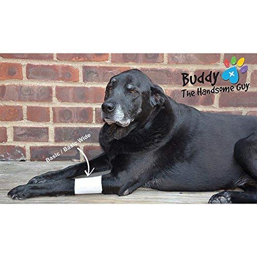 PawFlex Basic Leg Bandages for Dogs, Cats and Other Pets First Aid Non-Adhesive Fur Friendly - Value 16 Pack (Standard,& Wide) (Medium) - size: Medium 16-Pack
