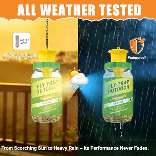3 Pack Reusable Fly Traps Outdoor with 6 Fly Bait Refill - color: Green-3 pack