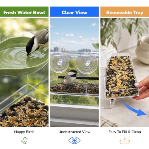 Kool Krafts Window Bird Feeder Kit for Kids & Families – Includes 1 lb USA Made Bird Food, 24-Page Educational Bird Guide Booklet, Removable Tray & Water Cup
