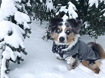 Gooby Stretch Fleece Vest Dog Sweater, Gray, X-Small - color: Gray, size: X-Small Length (7")