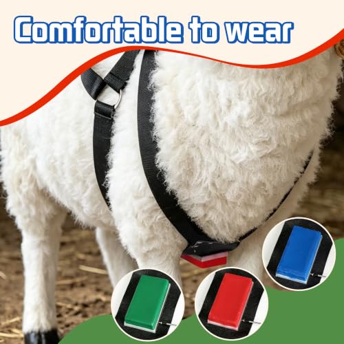 Ram Breeding Marking Harness & Crayons Set for Goat Sheep,3 Color | 3 Marking Crayons,Adjustable Nylon Strap,Quick-Release Buckle,Universal Fit | Rain-Resistant Marks,Livestock Management