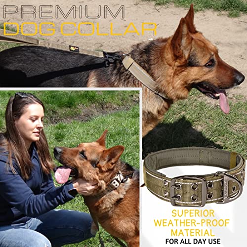 ADITYNA Heavy Duty Green Dog Collar for Medium Dogs with Traffic Handle - color: Ranger Green, size: Medium: Fit 15-19" Neck