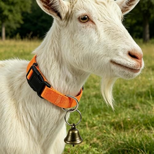 Collar for Goat Adjustable Sheep Positioning | Farm Animal Collar for Animal Lovers Breeders Farmers Ranchers Shepherd Ranch Farm Barn Backyard Open Range - color: Orange