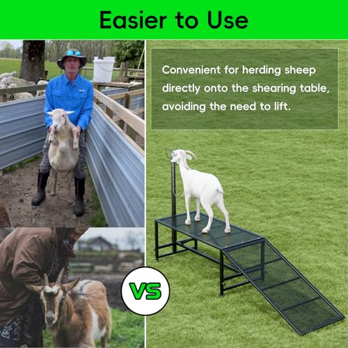 Metal Trimming Stand for Sheep Goat Milking Stand with a Ramp Livestock Stand with Adjustable Headpiece Goat Milking Stand for Clipping Hooves Black - color: Black + Ramp