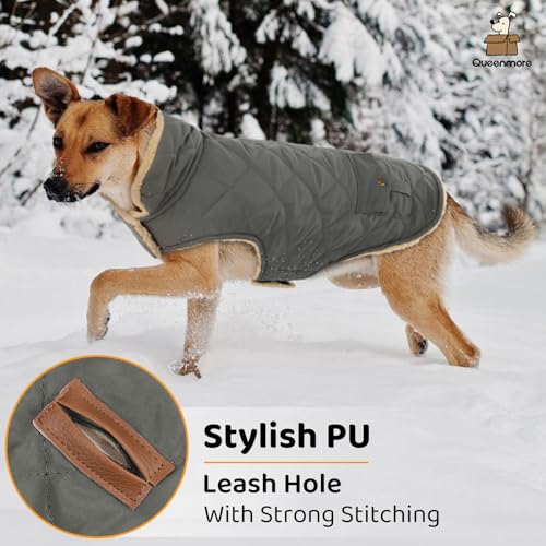 Queenmore Dog Winter Coat, Fleece Jacket, Waterproof Cold Weather Clothes - color: Grey, size: X-Small