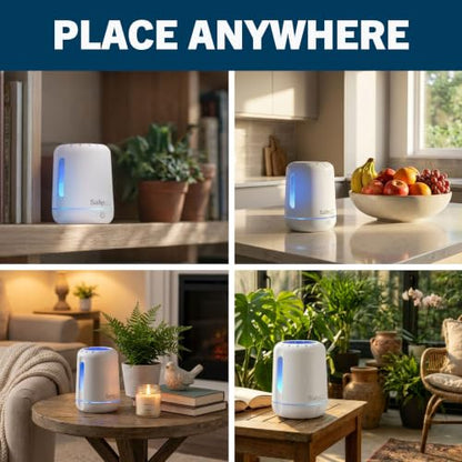 Safer Home Catch 360° Cordless Flying Insect Trap - size: 1 Cordless Trap + 6 Glue Cards