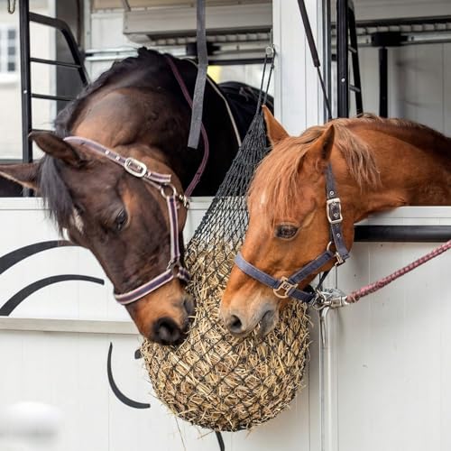 Windyun 4 Pcs Deluxe Ultra Slow Hay Feeder Nets, 42" Length with 1" Feeding Holes, Horse Supplies Heavy-Duty Top Loading Black Horse Hay Bag for Goats Sheep Livestock Barn Farm Feeding Tack(Black) - color: Black