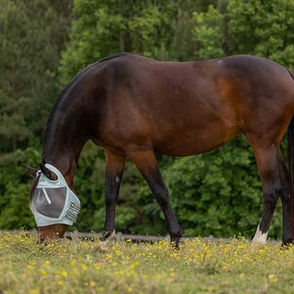 Equinavia Algard Soft Mesh Earless Fly Mask - Misty Jade - Warmblood - color: Misty Jade, size: Warmblood